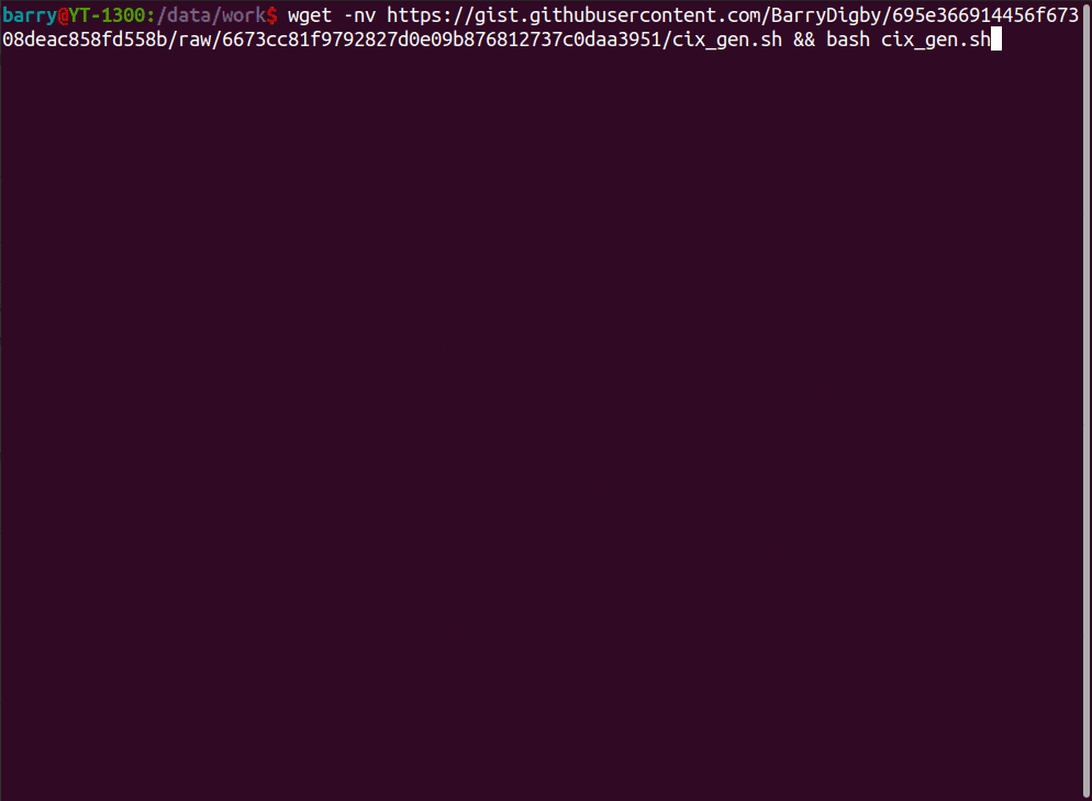 ../_images/terminal_auto_json.gif